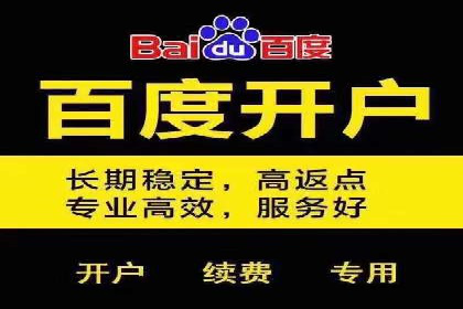 竞价SEM广告在娱乐行业的运用及效果展示